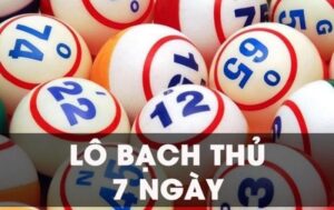 Giới thiệu về lô bạch thủ 7 ngày