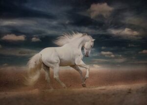 Nằm mơ thấy ngựa trắng mạnh dạn chốt con đề 23 cho thịnh vượng